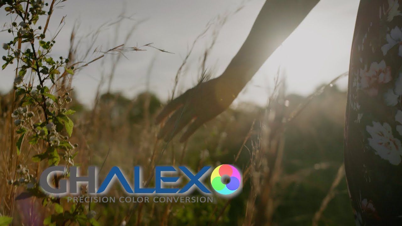 Panasonic GH5S 4K, Sigma 1835mm, Vlog Footage, GHAlex Lut // "Song to