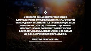 Как построить отношения с товарищами и близкими людьми 3