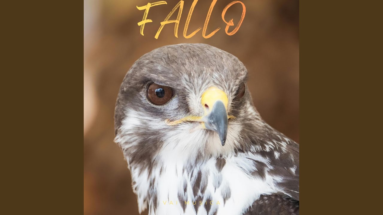 Fallo auf YouTube ansehen Fallo auf YouTube ansehen