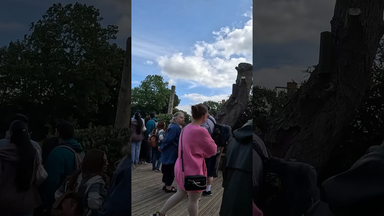 🐘 Elephant Photography | Chester Zoo - 50mm f/1.8 