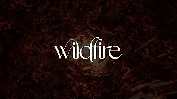 RÜFÜS DU SOL - Wildfire [Official Audio]