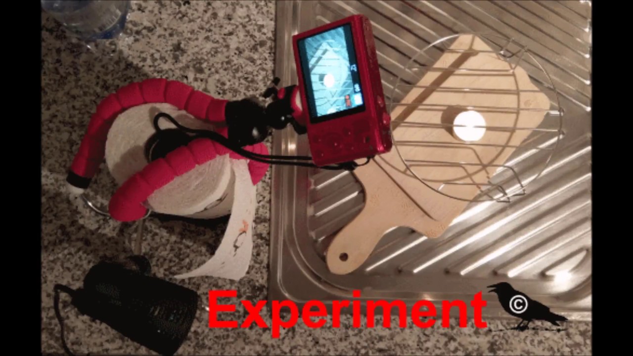 Experiment - IQOS vergühen