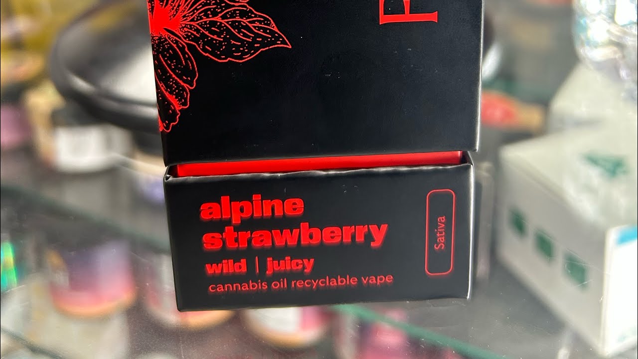 Fernway: альпийская земляника (отзыв о диспансере)