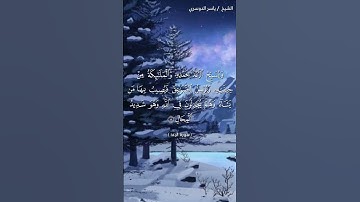 سورة الرعد ( ١٢ - ١٣) / ياسر الدوسري