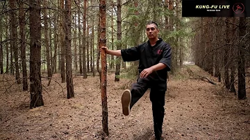 Самое лучшее упражнение для поясницы - махи ногой