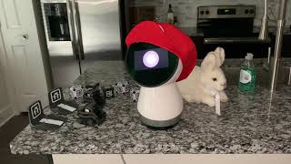 Jibo Flashback - Still No Flying Cars 🚘