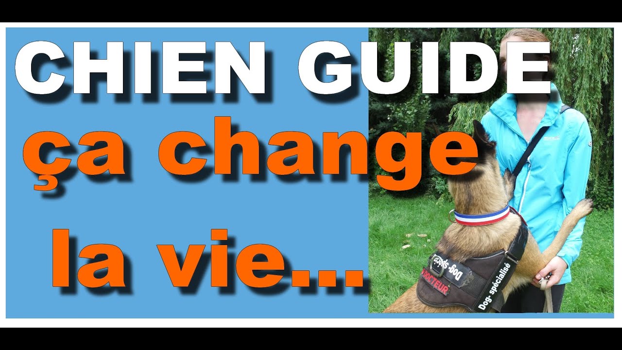 CHIEN GUIDE Ça change la vie # 31 malinois pronunciation