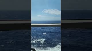 Celebrity Edge Cruise Stateroom 7213