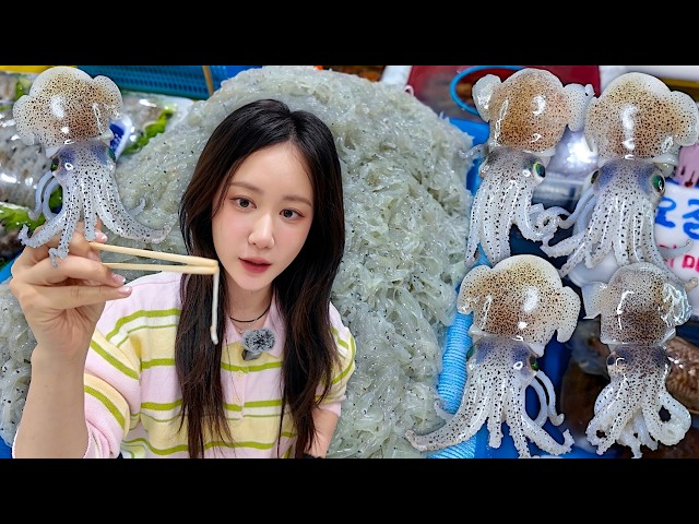 실치회 먹으러 장고항으로😆세상에서 가장 작은 회,실치회 먹방🤍(ft.귀꼴뚜기 먹방) Raw Fish + Raw Eared Squid 生しらす + ミミイカ | Mukbang ASMR
