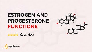 Estrogen and Progesterone Functions | Introduction