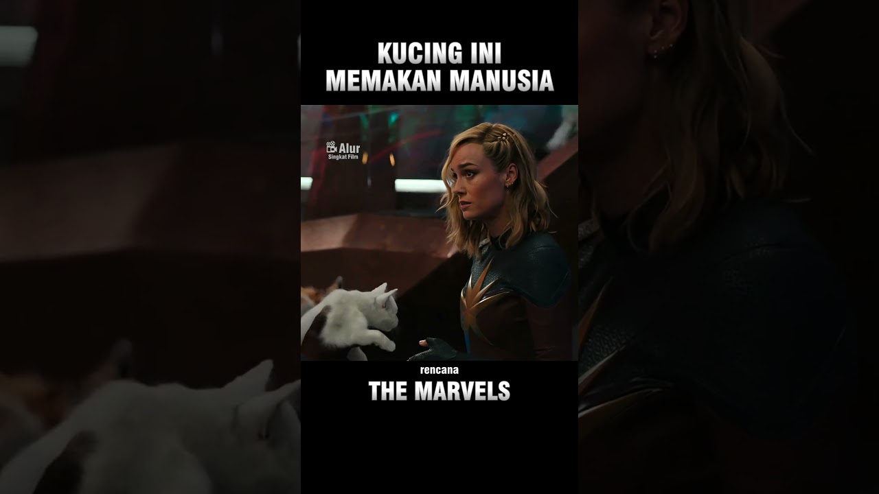 KUCING IMUT INI MEMAKAN MANUSIA ‼️ 