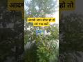 #garden comedy#aurat agar Sidhi ho to gay kahate Hain hai#Anubhav pk