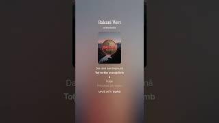 Balcani West server RDR 2
