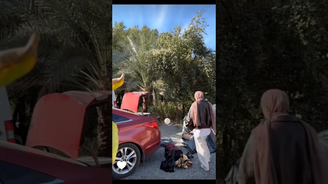 شادو ابو زين Shado Abu Zeana