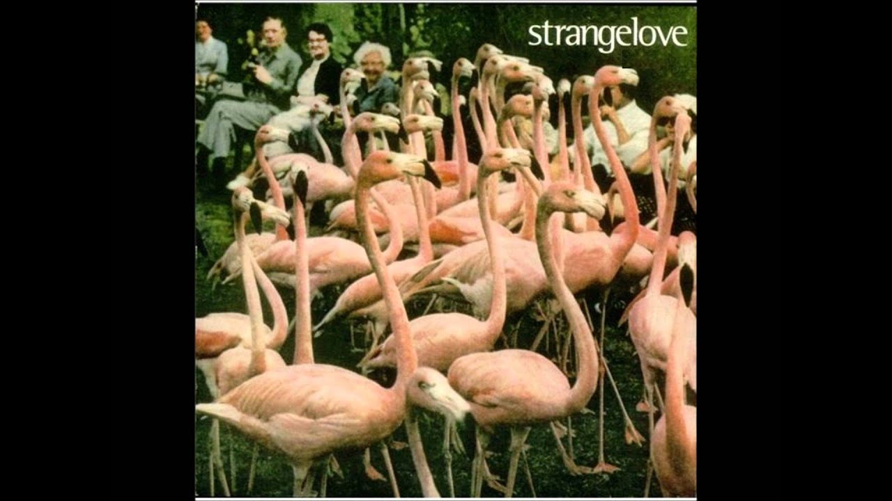 Watch Strangelove - Ghost Haddock on YouTube Watch Strangelove - Ghost Haddock on YouTube