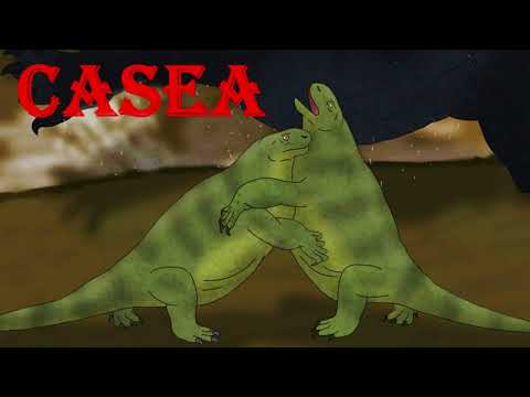 casea