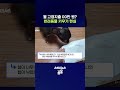 반려동물 키우기 전 꼭 알아야 할 것들 #반려동물 #shorts #스브스뉴스