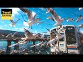 Japan's Amazing Train Station in Seagulls' Paradise