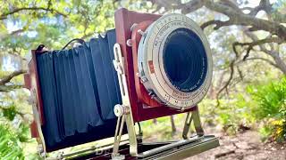 My Large Format Photography 2022, No 11. The Kodak Portrait Lens (soft focus) 12”/305mm F4.8 screenshot 4