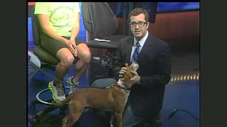 All About Animals interview with WGXA Rick Devens screenshot 4