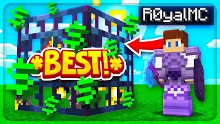 Celebrity THE FIRST MINECRAFT SKYBLOCK SERVER OF 2026! Profile