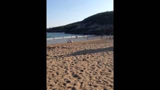 IMG 3575