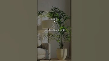 إذا نودى للصلاة _ماهر المعيقلي _سورة الجمعة