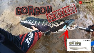 Toman GORGON Ladang Sawit Banjir || SP OZMY PADDLE POP MANTOPP!! screenshot 5