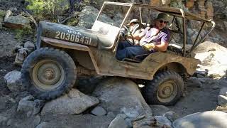 Three Vintage Jeeps take on Carnage Canyon