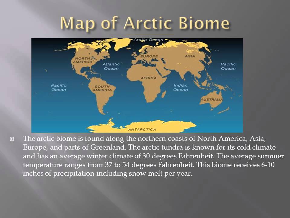 Arctic Biome