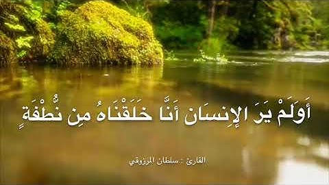 تلاوة رائعة من أواخر سورة يس ، للقارئ : سلطان المرزوقي
