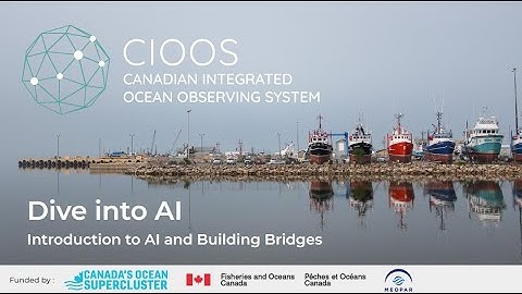 Dive into AI: Emerging Ocean Opportunities Workshop - Introduction to Ocean AI and Building Bridges