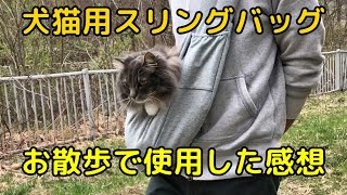 犬猫用スリングバッグをお散歩で使用して感じたこと。