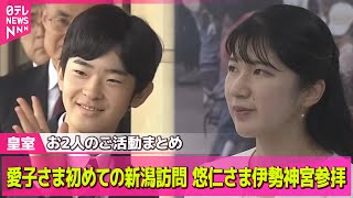 日テレNEWSの配信のサムネイル画像