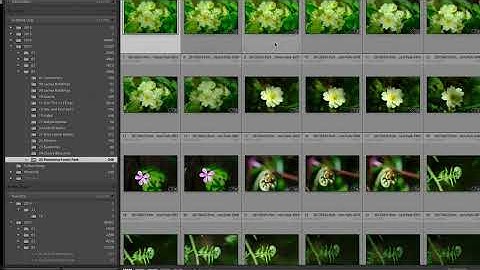 Folders in Lightroom Sync, Update, Find Missing, and other tools