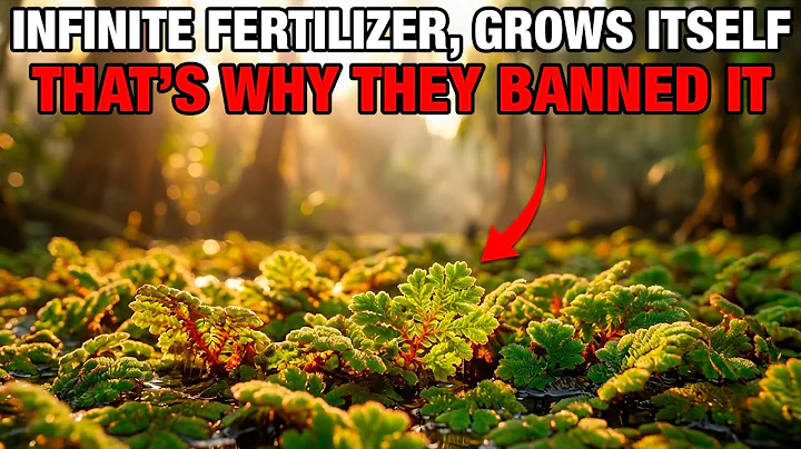 The "Weed" That Cools Planets and Replaces All Fertilizer. Why Did We Stop Using It?