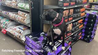 Parker Went To Mac Pet Supplies