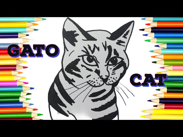 Desenho Realista de um Gato  Cat drawing, Cute cat drawing, Cat coloring  book