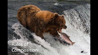 RULES OF COMPOSITION: A complete guide