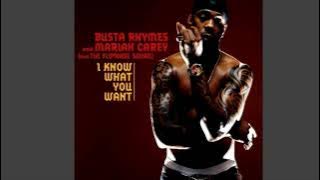 Busta Rhymes & Mariah Carey - I Know What You Want (Clean)