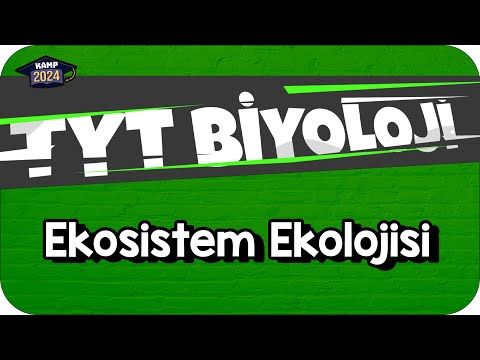 Ekosistem Ekolojisi | TYT Biyoloji #KAMP2024