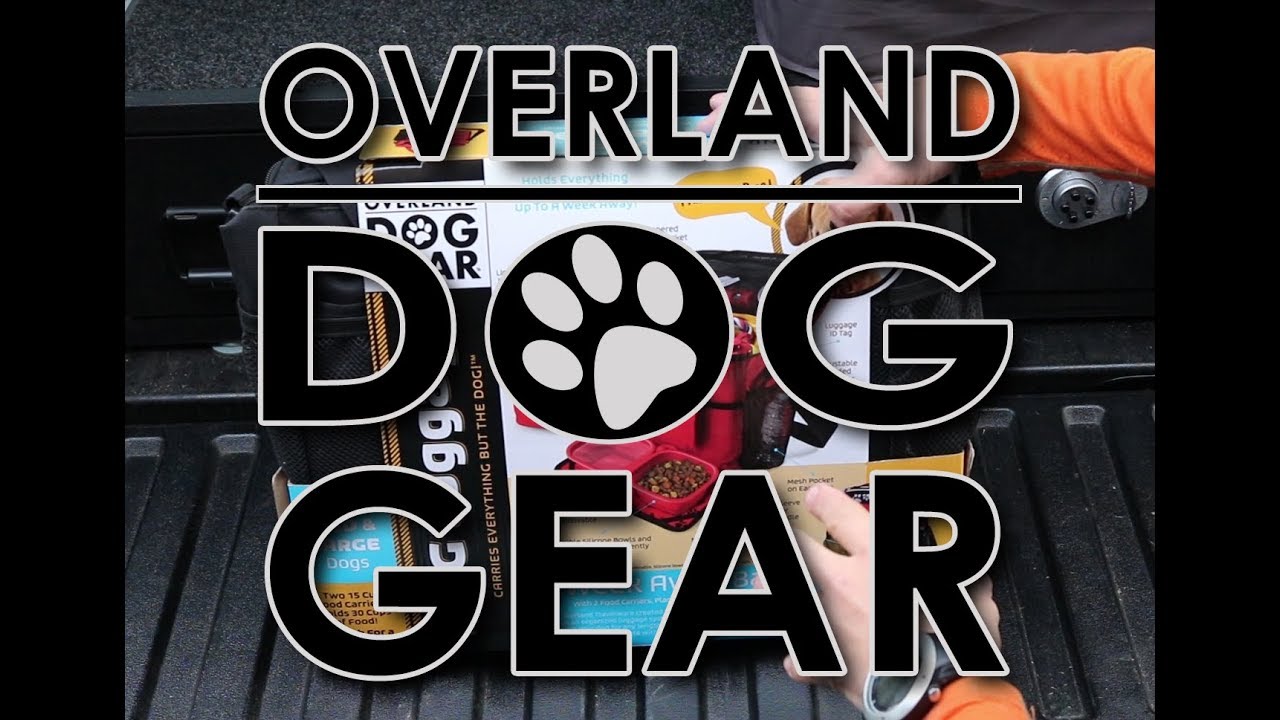 overland dog