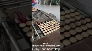 Cookie Production Line Trial Run | Stable Performance & Perfect Cookie Shape#biscuitmachine