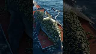 "Helping Whales by Removing Barnacles – A Special Act of Animal Care" #ytshorts #whale #shorts