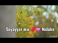 Kalaman Soyayya Masu Dade