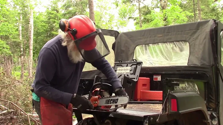 115 Interesting Tree Felling Challenge