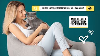 24 most affectionate cat breeds who love a good cuddle 🐱 🐈 😻