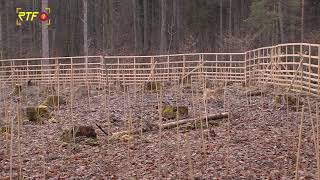 RTF.1-Nachrichten 04.02.2026