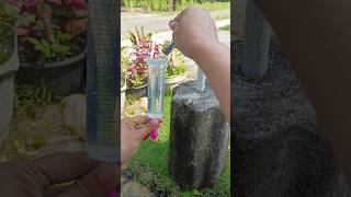 Famous Let's fill mini balloon with water! purple balloon #shorts #balloon #waterballoon Profile