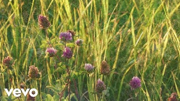 Peo - Spring Hymn from Gotland (Official Music Video)